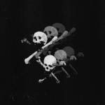 Primitve Slaughter - Endless Raids MCD